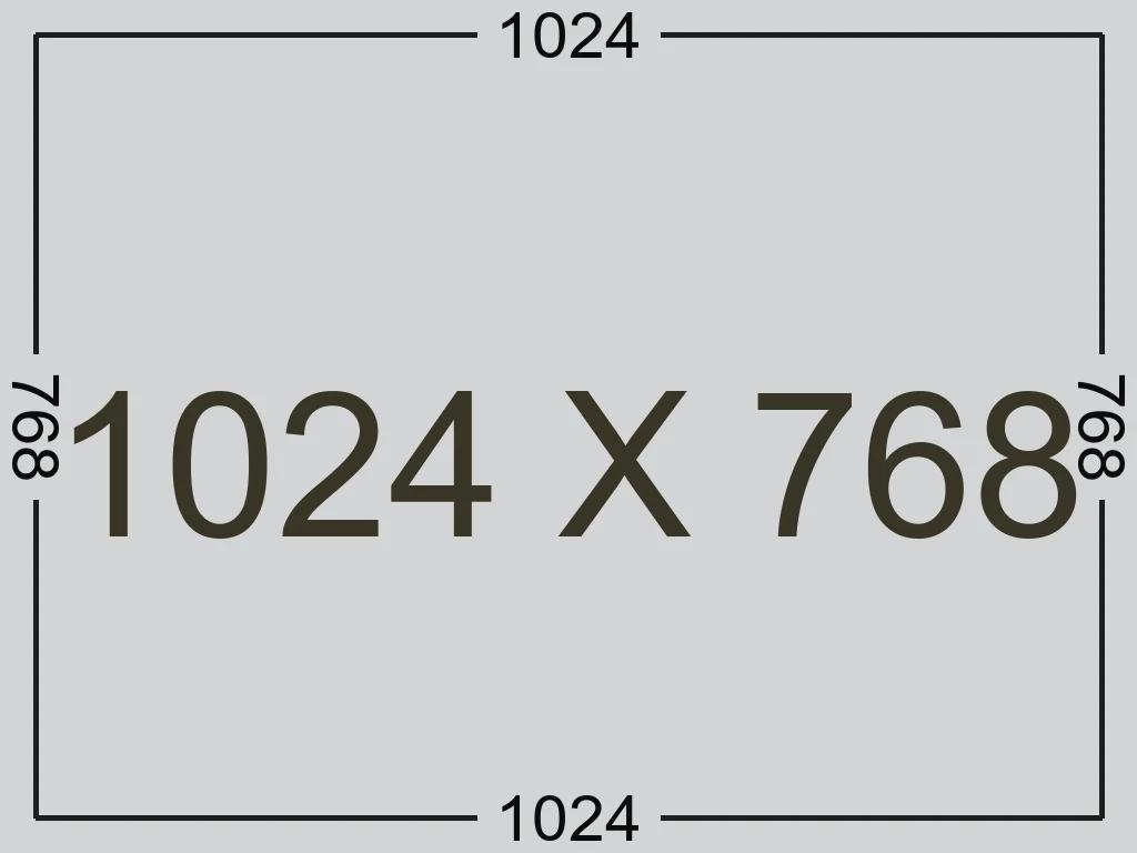 Summer '25 Collection